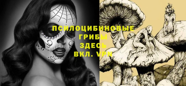 apvp Белоозёрский