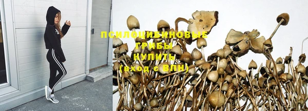 кокаин колумбия Белокуриха