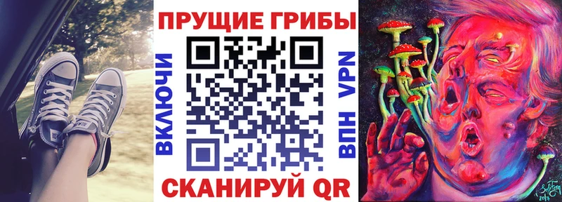 Галлюциногенные грибы прущие грибы  Высоковск 