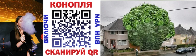 продажа наркотиков  Высоковск  Шишки марихуана Amnesia 