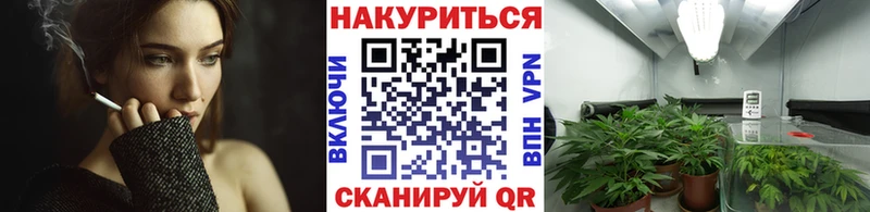 Шишки марихуана Amnesia Высоковск